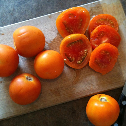 Tomate jaune Flammée (semences bio)