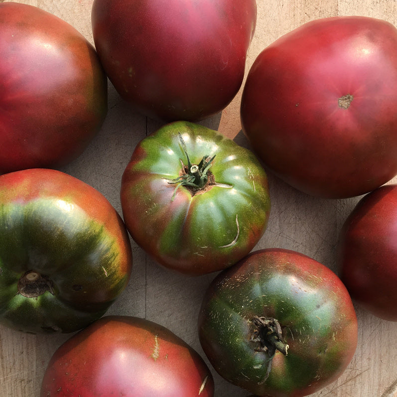 Tomate standard Noire de Crimée (semences bio)