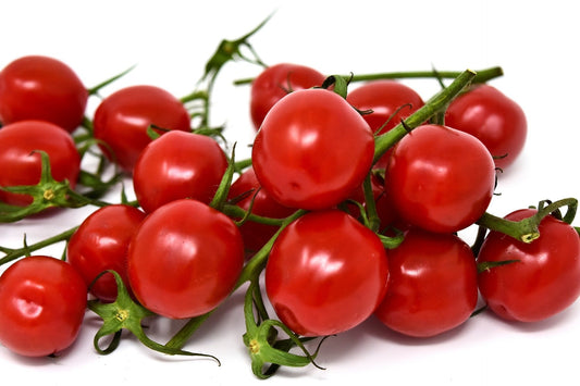 Tomate Washington Cherry (plant)