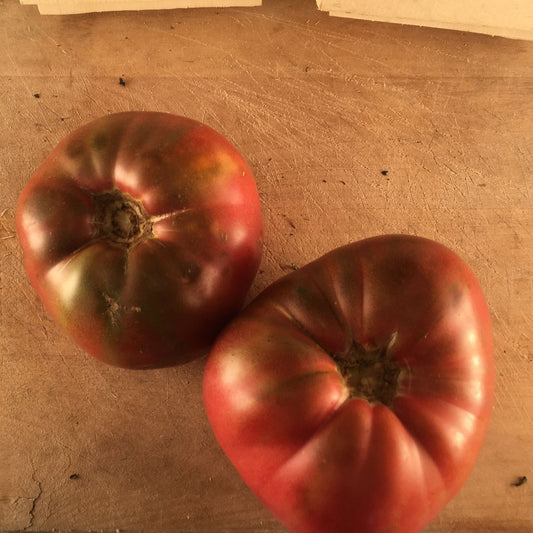 Tomate mauve Cherokee Purple (semences bio)