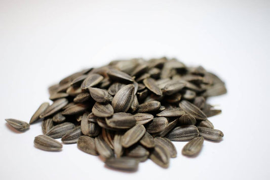 Tournesol noir (Italie)