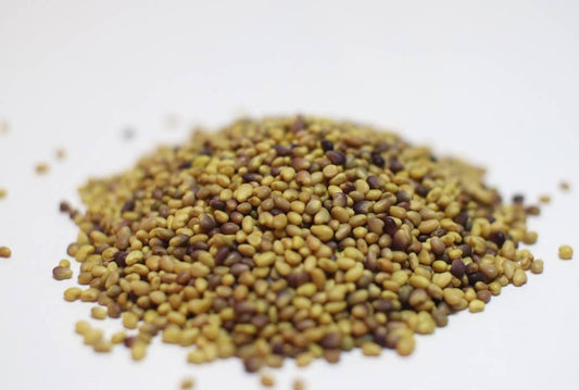 Trèfle Rouge (Canada)