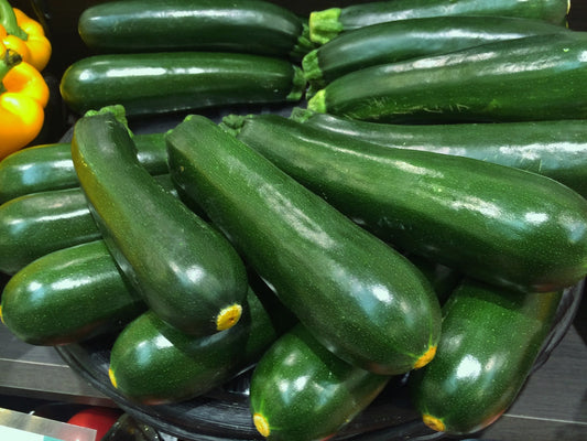 Zucchini vert (plant)